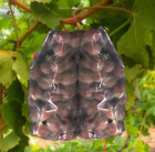 Plastic-wrapped grapes