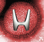 Honda virus