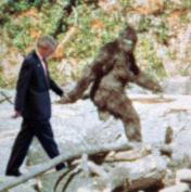 Bigfoot vetted