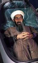 Osama under glass