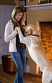 Jennifer Aniston puppy love